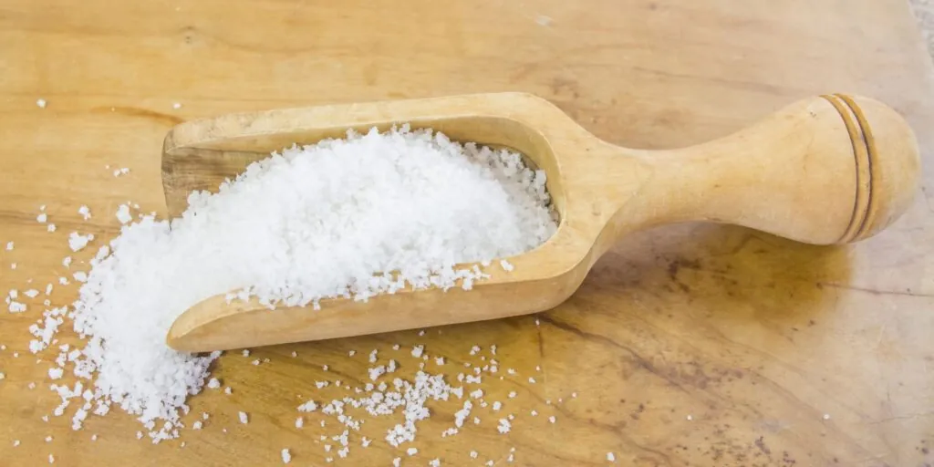 Limpiar Base Plancha Sal Gruesa