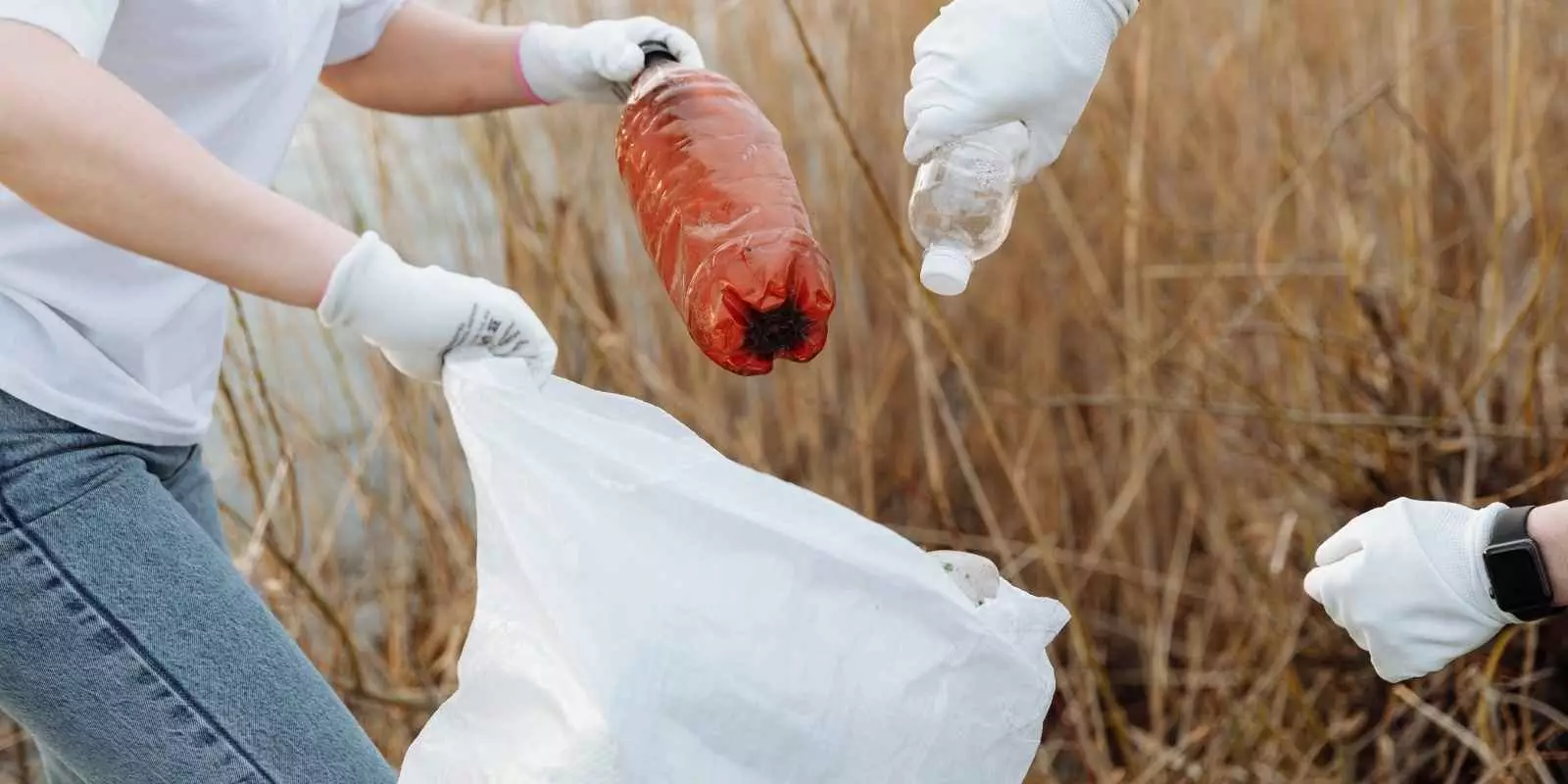 Mejor Bolsa Basura