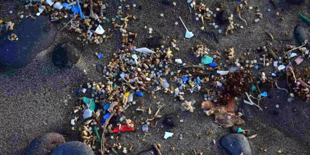 MicroPlásticos En Arena