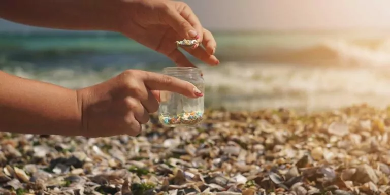 Microplásticos cuerpo humano general