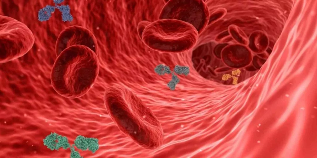 Microplásticos en sangre