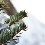 Navidades sostenibles y conscientes