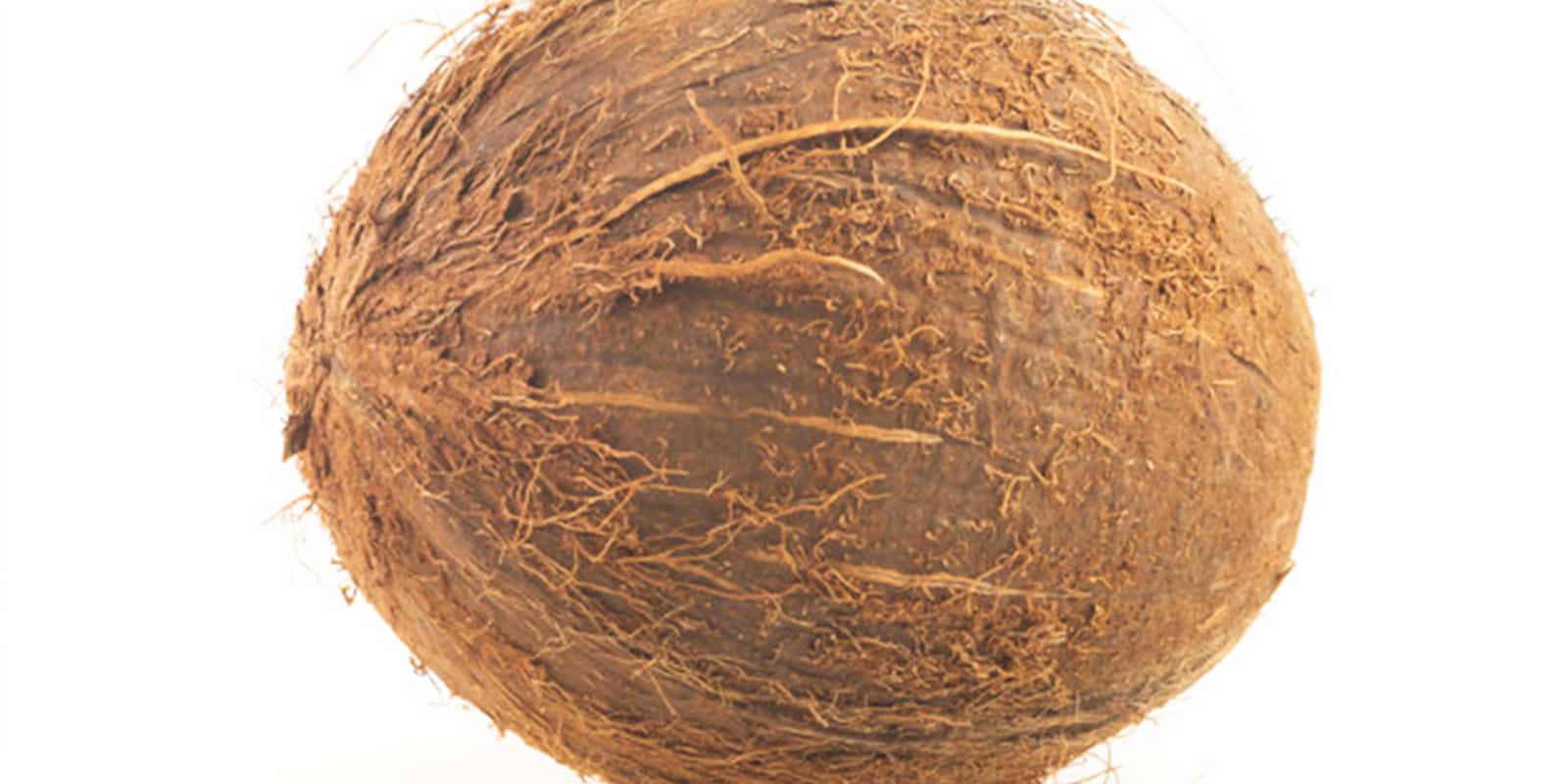 Propiedades, beneficios y usos del Coco | Cero Residuo