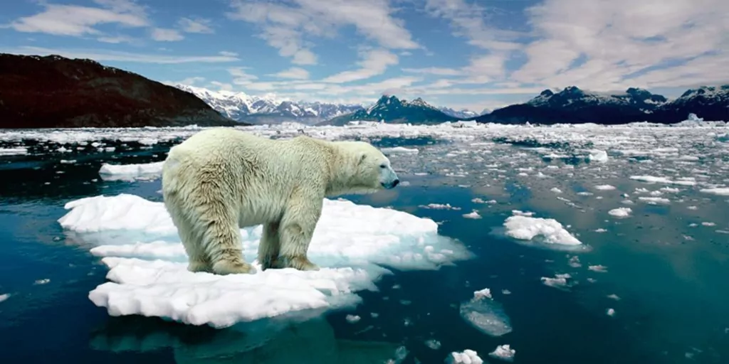 Portada Día Internacional contra el Cambio Climático