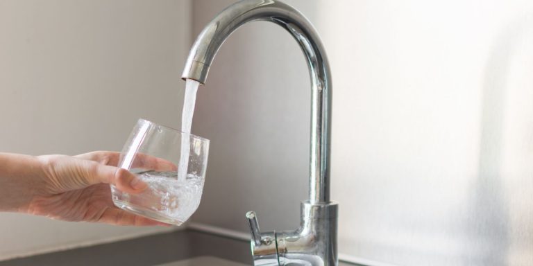 Portada cal de los grifos