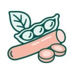 Proteína Vegetal