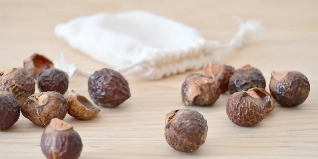 Varias nueces de lavado con la bolsita para el lavado al fondo