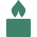 Aceites Esenciales para Difusión