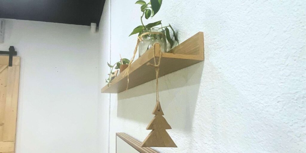 adorno de navidad y planta