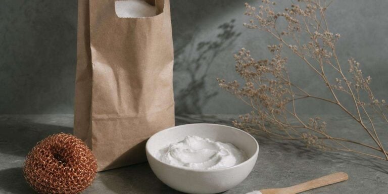 Bicarbonato de sodio en cuenco blanco con estropajo de cobre para limpiar el horno de forma natural