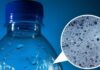 botella de agua con microplásticos