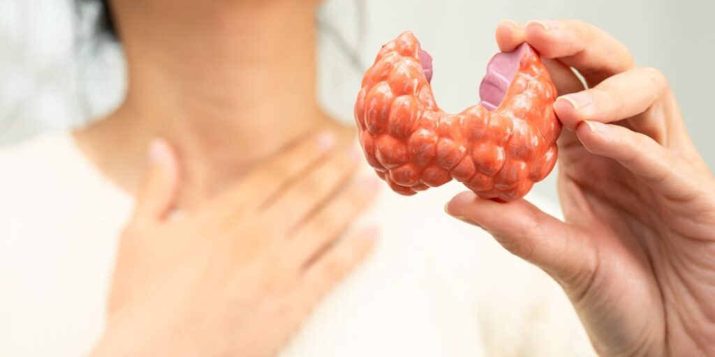 cuales son los disruptores endocrinos