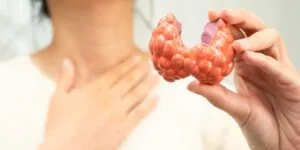 cuales son los disruptores endocrinos