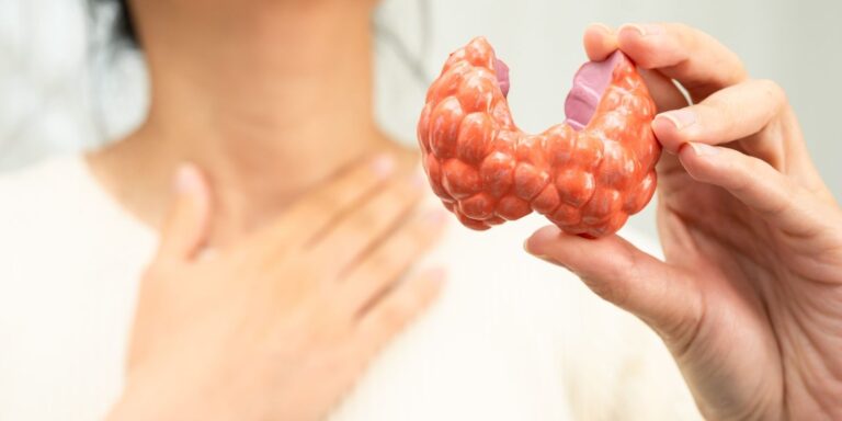 cuales son los disruptores endocrinos