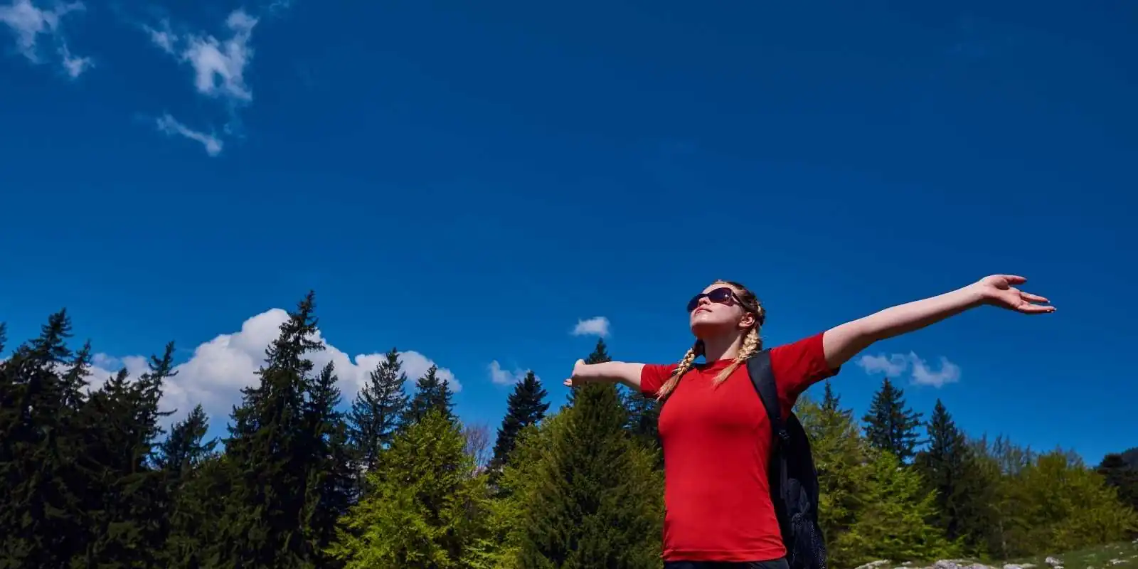 día mundial de la salud