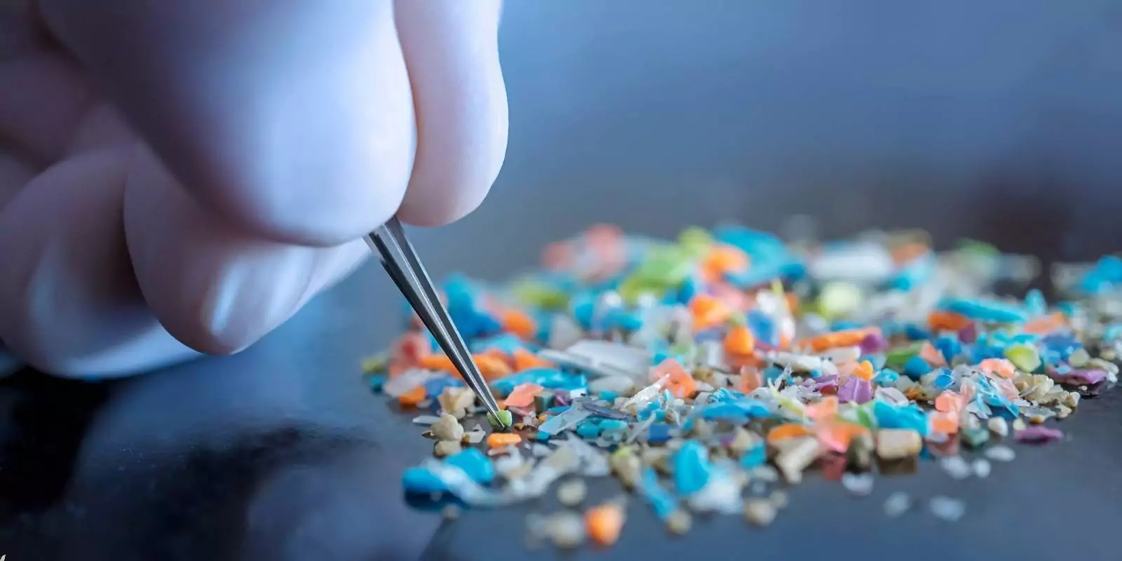 pinza agarrando microplásticos