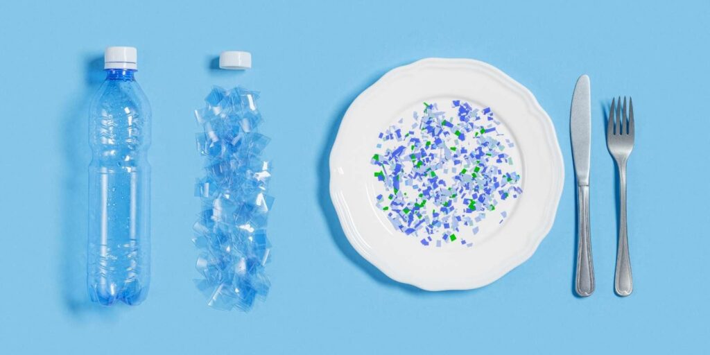 plato con microplásticos